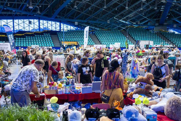 Międzynarodowa wystawa kotów rasowych w hali Orbita we Wrocławiu, 7-8 września 2024